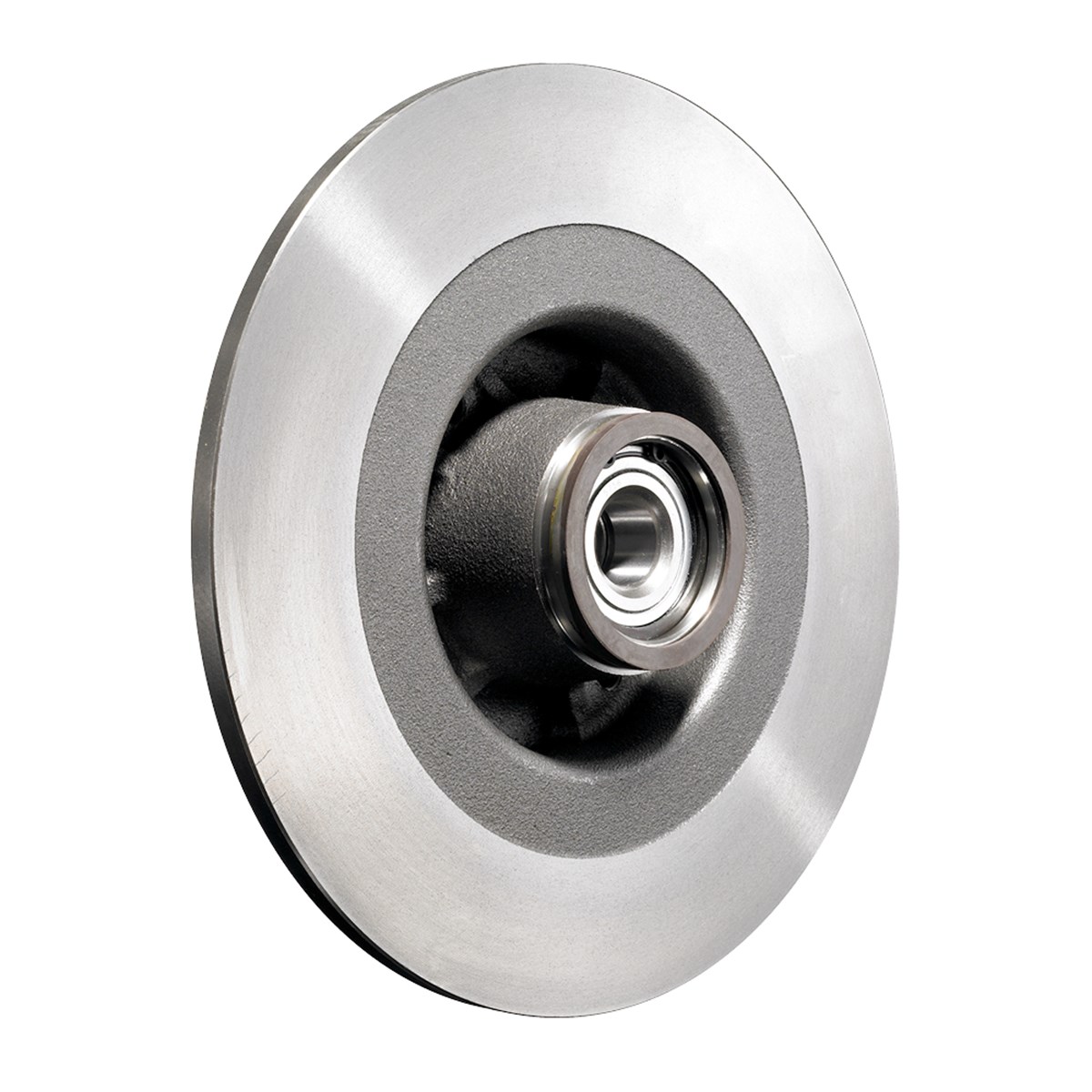 Bremsscheibe mit Radlager